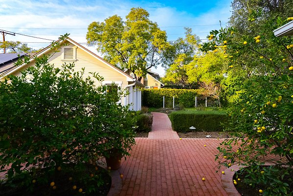 UNIVERSAL-B374-SPS-48