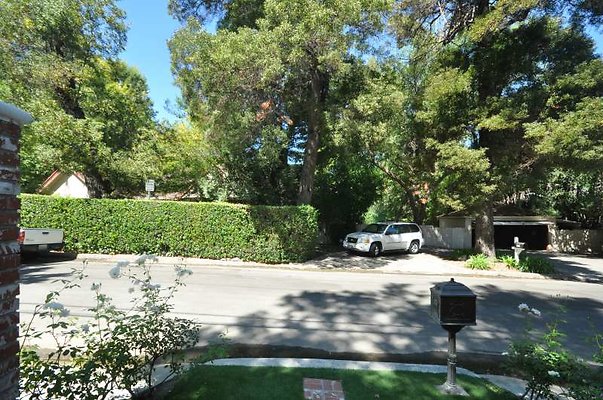 6446 reverse 6446 reverse