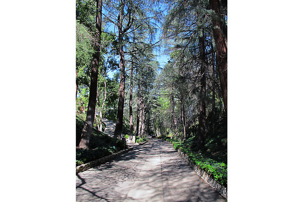 8-bakerhouse 27 jpg 8-bakerhouse 27 jpg