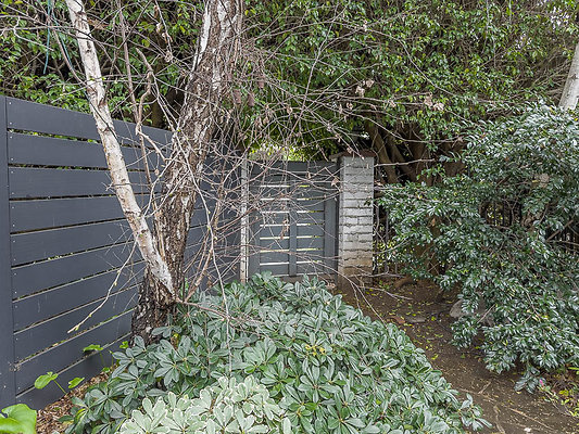 3-georgiahouse 3 jpg