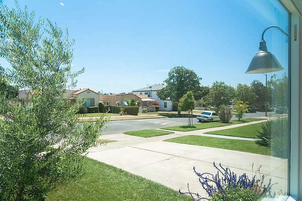 PL8006-17