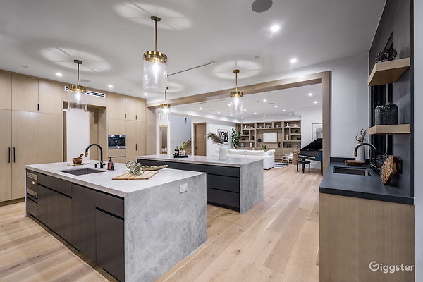 stunning-and-modern-encino-59