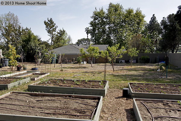 68garden-reverse 68garden-reverse