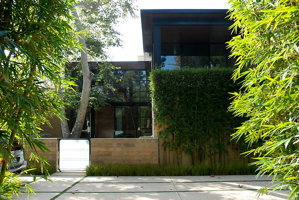 DSC 0062