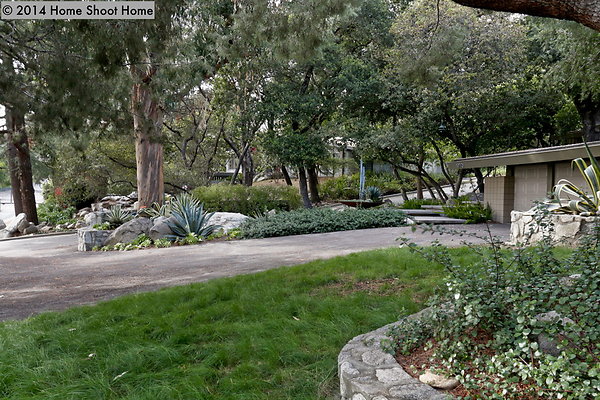 50front-lawn-side-view