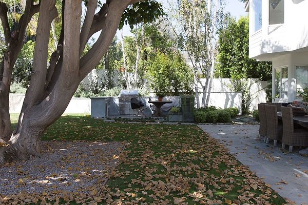 71sPflwZseUU48X6X9oEoM0YOw CPiZgwnLx1lNA6zY