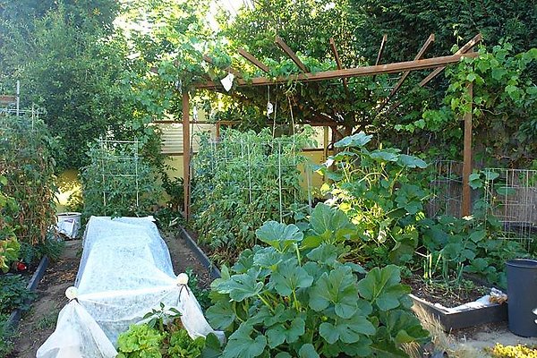 4089 garden