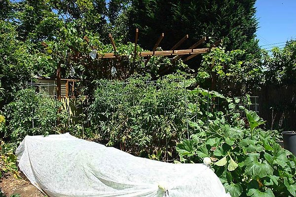 4089 garden3