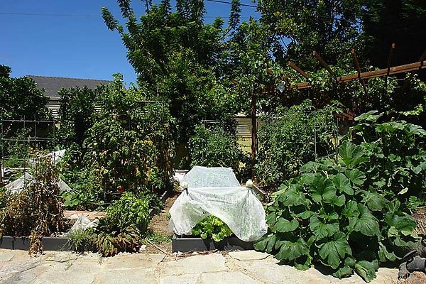 4089 garden2